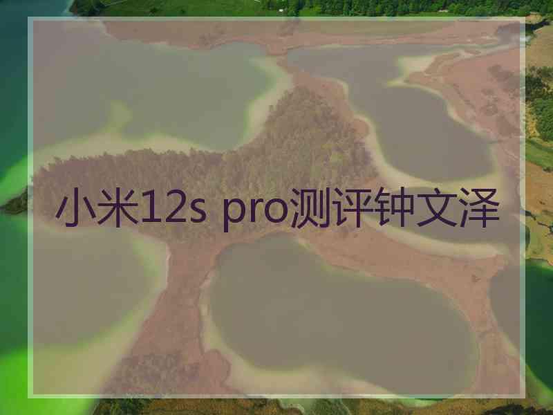 小米12s pro测评钟文泽