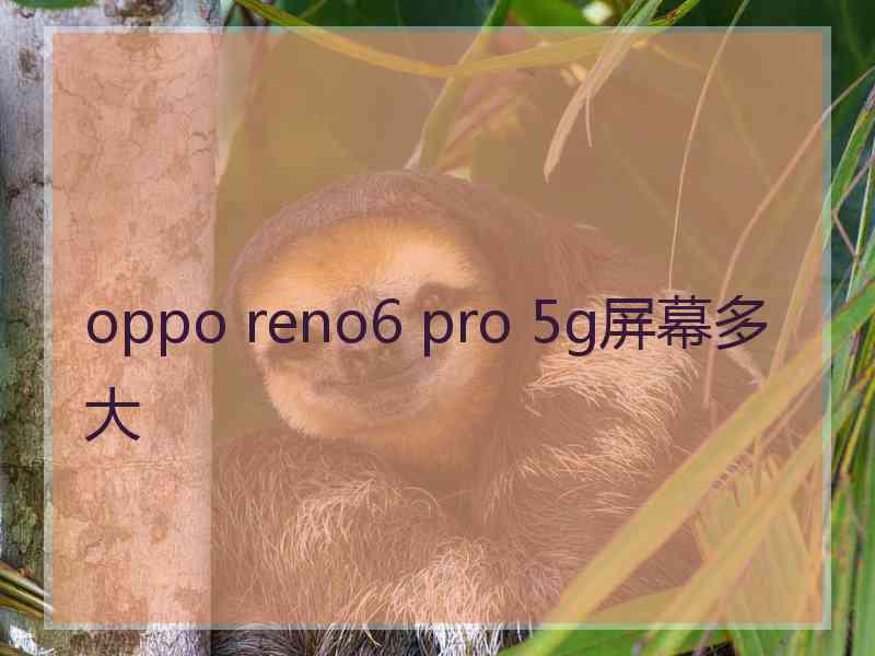 oppo reno6 pro 5g屏幕多大