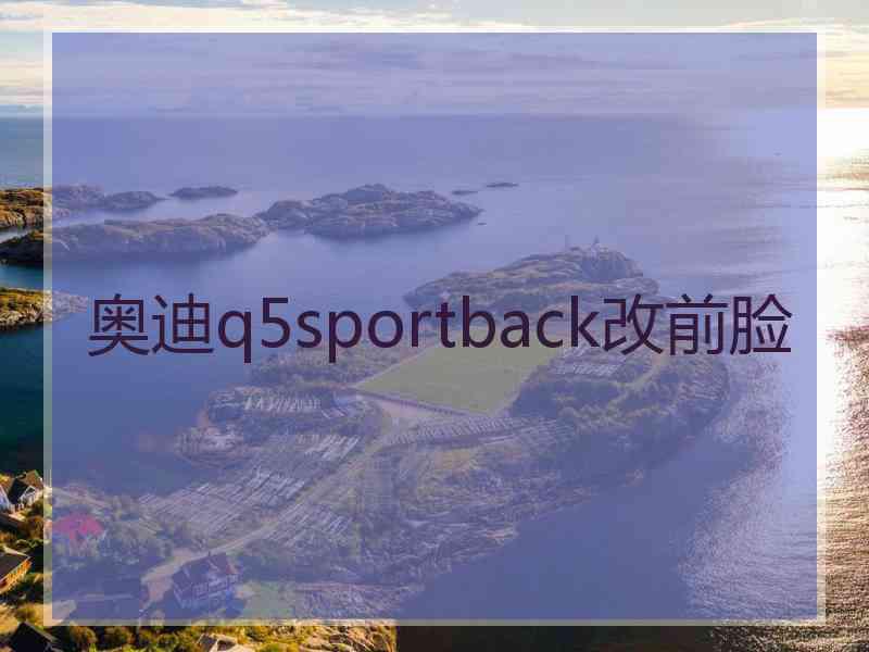 奥迪q5sportback改前脸