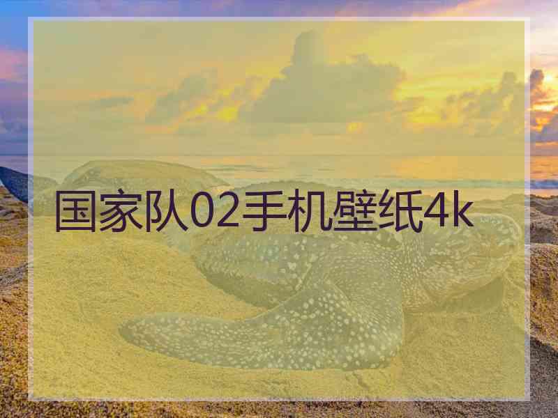 国家队02手机壁纸4k