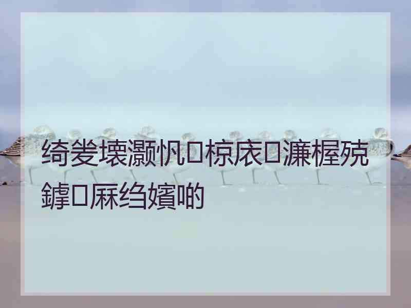 绮夎壊灏忛椋庡濂楃殑鎼厤绉嬪啲