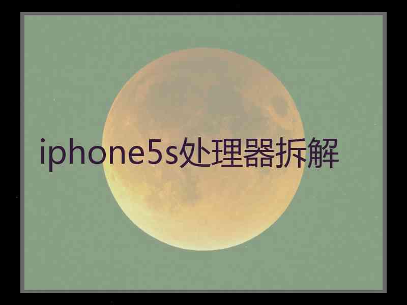 iphone5s处理器拆解