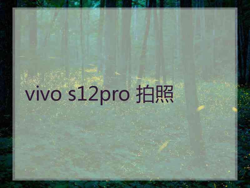 vivo s12pro 拍照