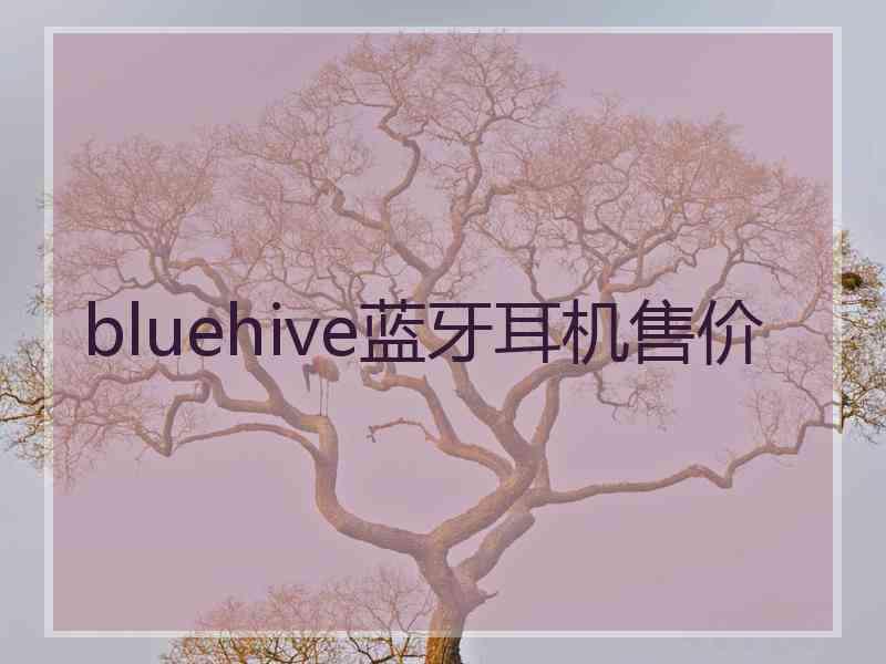 bluehive蓝牙耳机售价