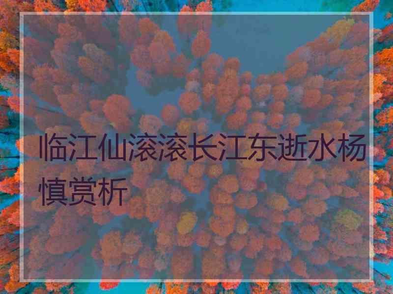 临江仙滚滚长江东逝水杨慎赏析