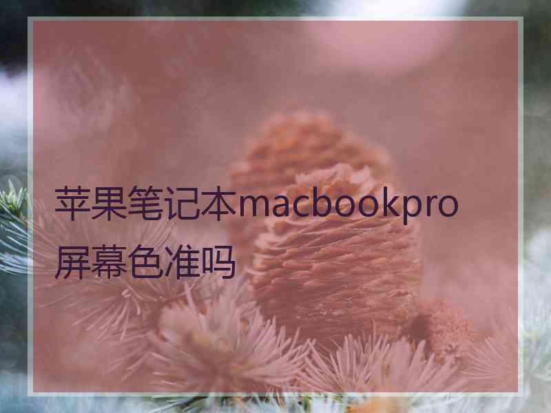 苹果笔记本macbookpro屏幕色准吗