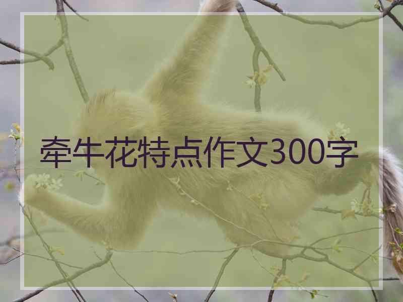 牵牛花特点作文300字