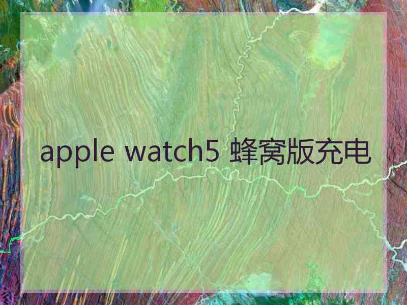 apple watch5 蜂窝版充电