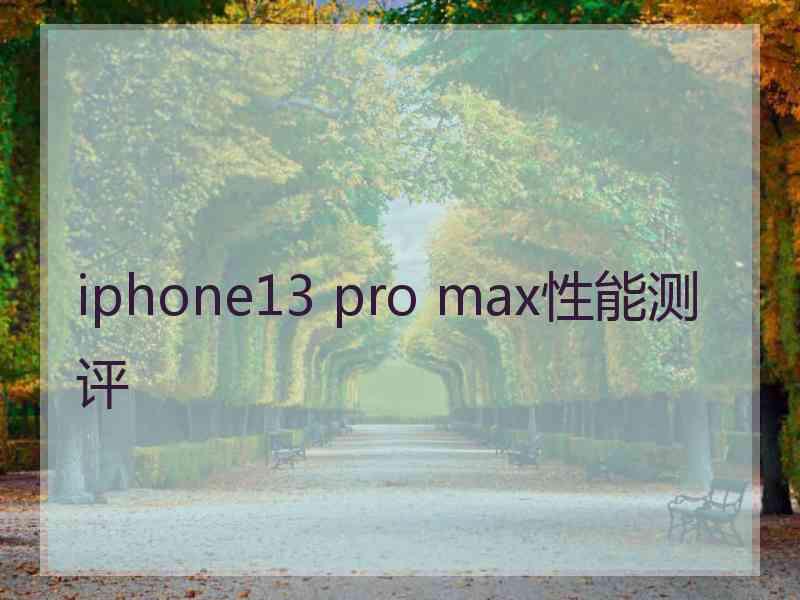 iphone13 pro max性能测评