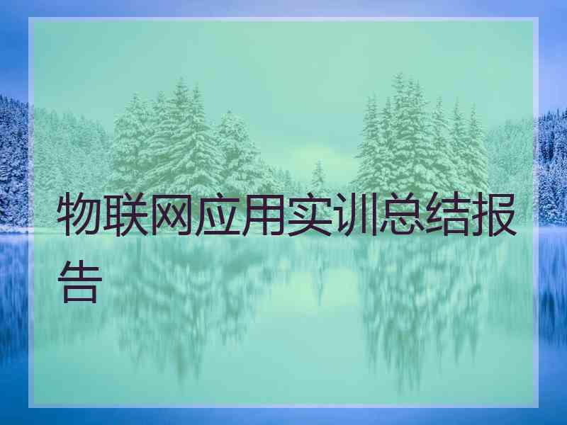 物联网应用实训总结报告