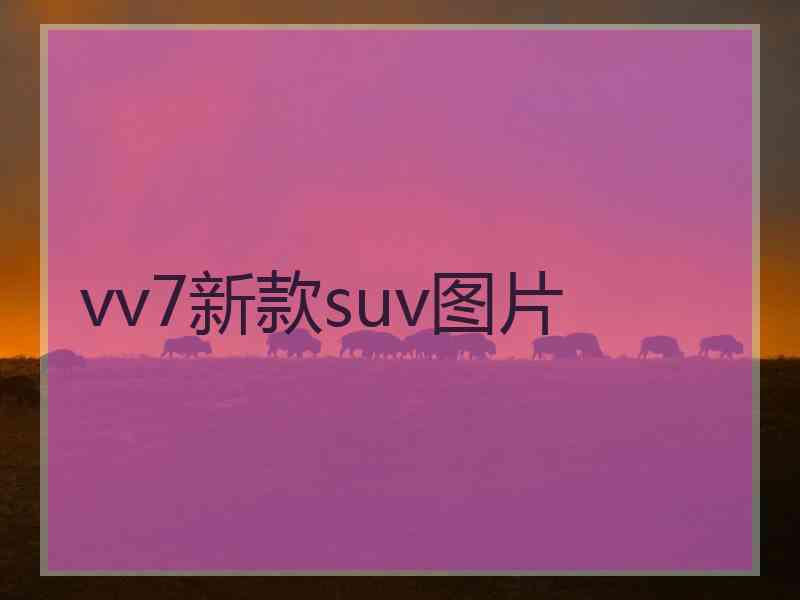 vv7新款suv图片