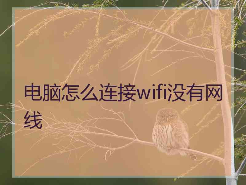 电脑怎么连接wifi没有网线