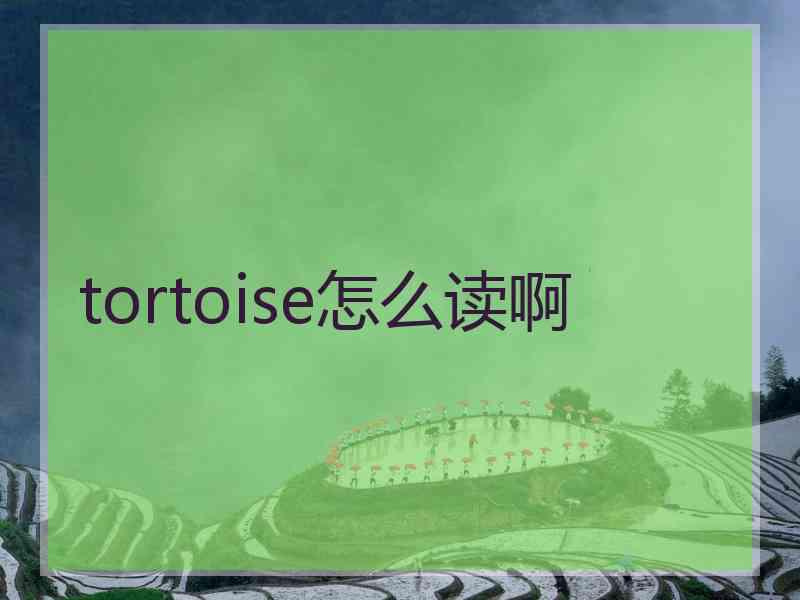 tortoise怎么读啊