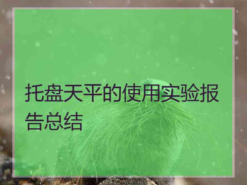 托盘天平的使用实验报告总结