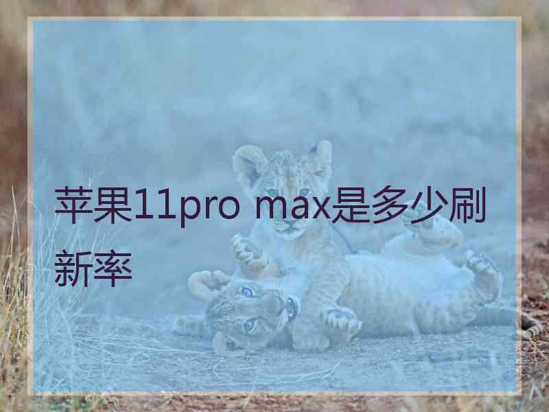 苹果11pro max是多少刷新率