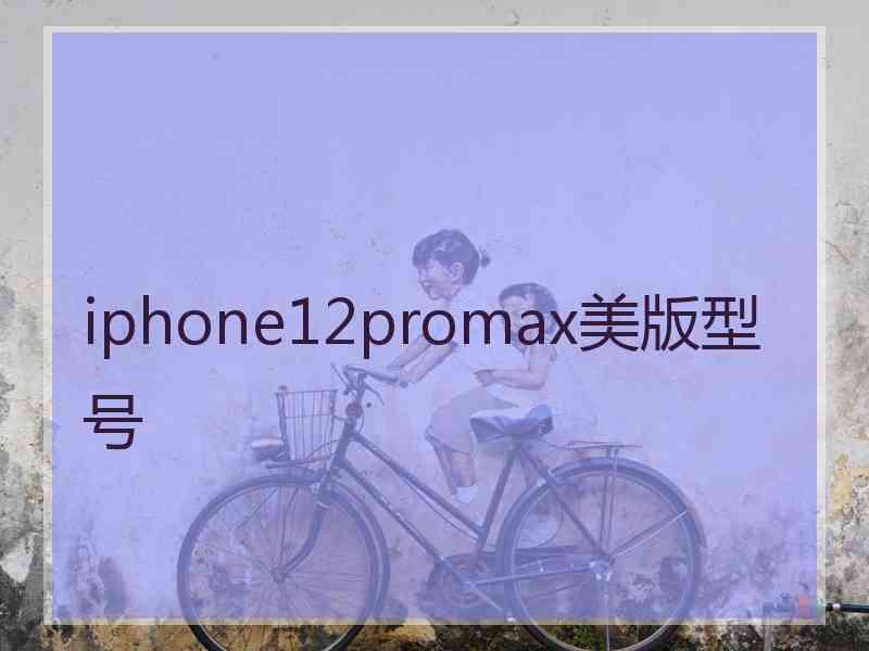 iphone12promax美版型号