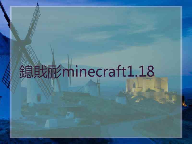 鎴戝彨minecraft1.18