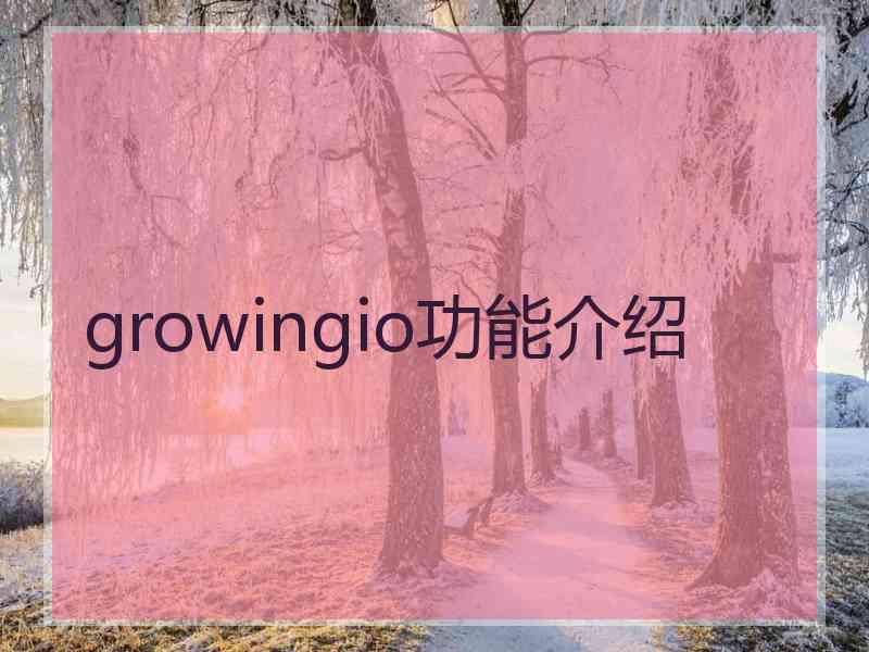 growingio功能介绍