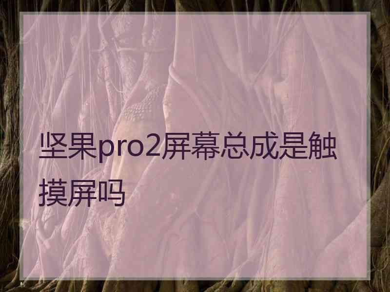 坚果pro2屏幕总成是触摸屏吗