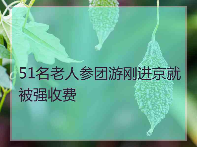 51名老人参团游刚进京就被强收费