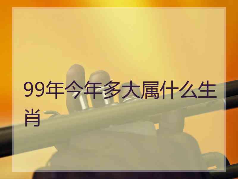 99年今年多大属什么生肖