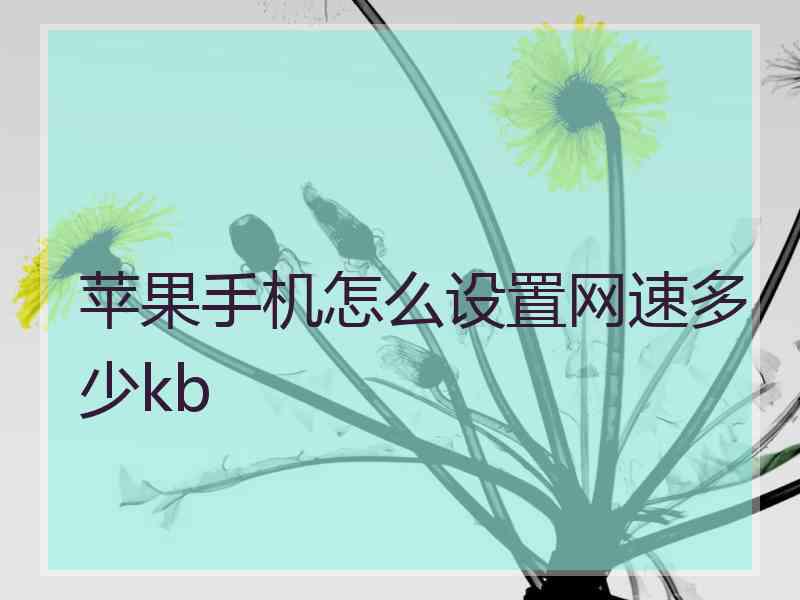 苹果手机怎么设置网速多少kb