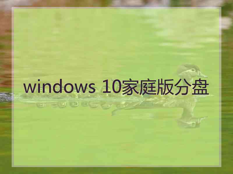 windows 10家庭版分盘