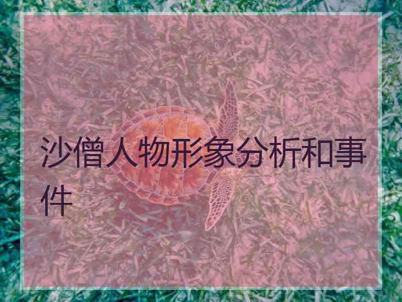 沙僧人物形象分析和事件