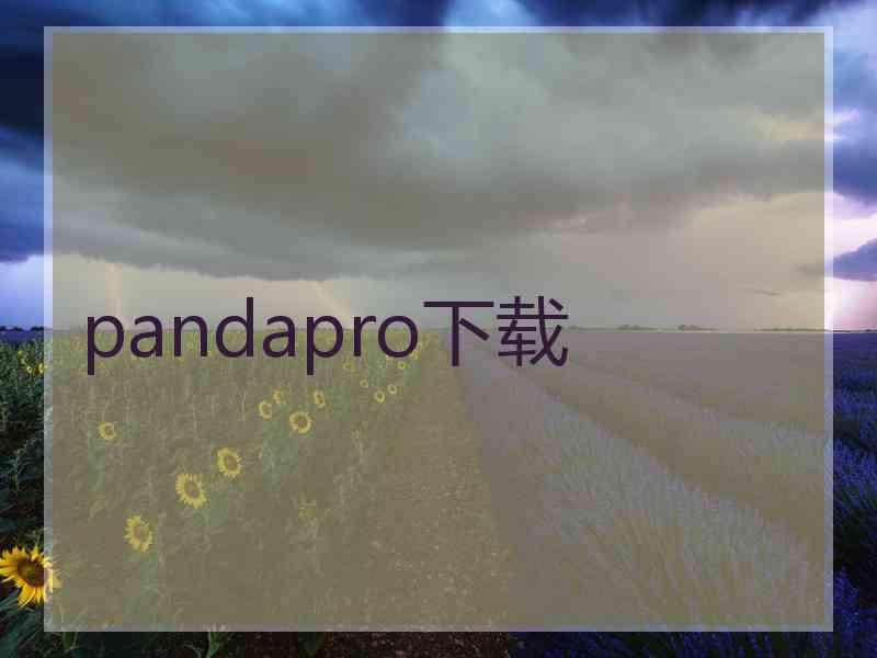 pandapro下载