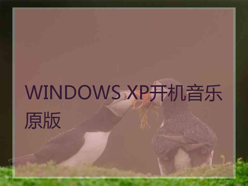 WINDOWS XP开机音乐原版