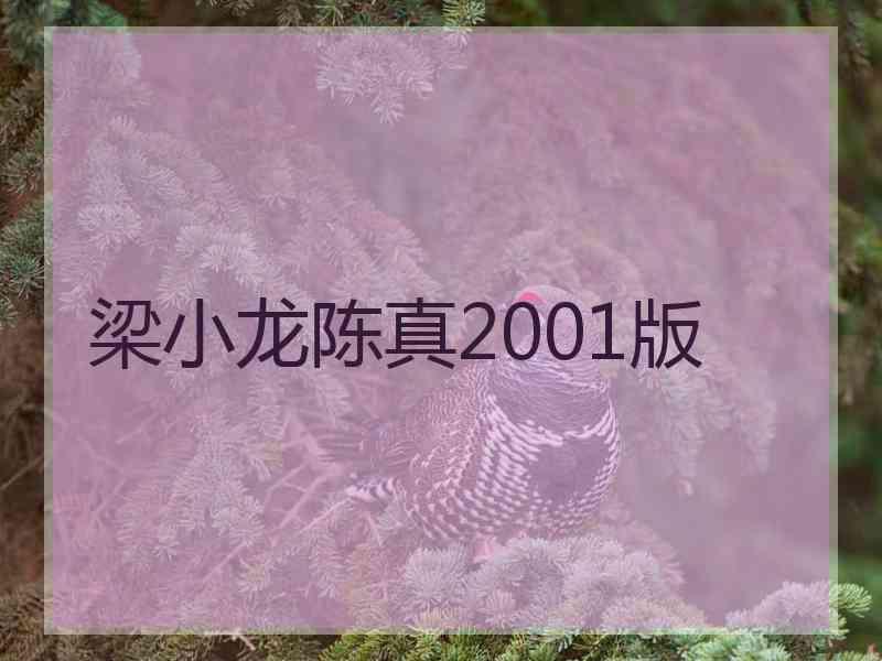 梁小龙陈真2001版