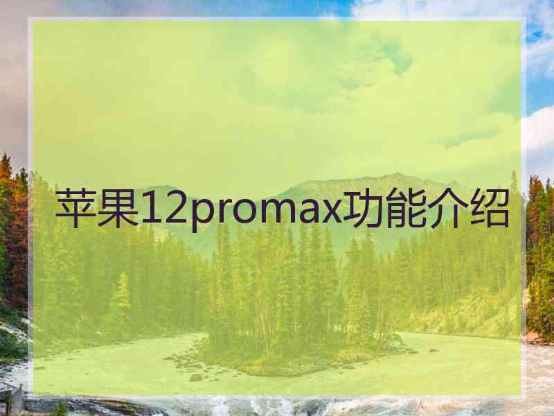 苹果12promax功能介绍