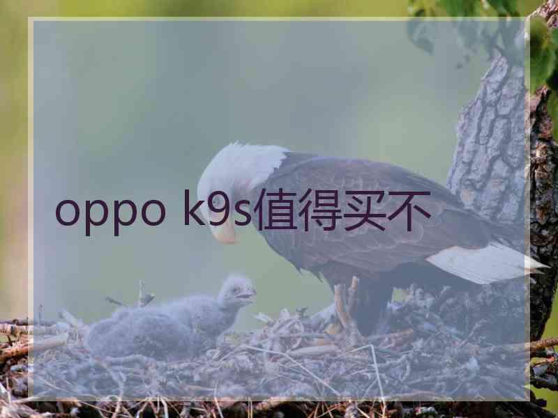 oppo k9s值得买不