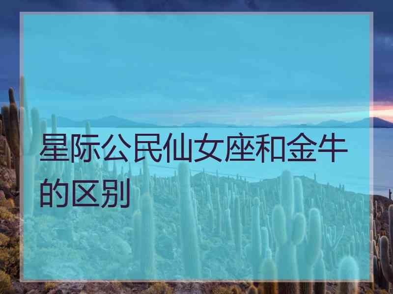 星际公民仙女座和金牛的区别