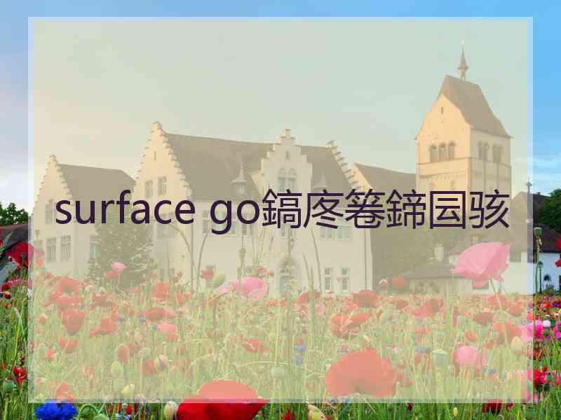 surface go鎬庝箞鍗囩骇