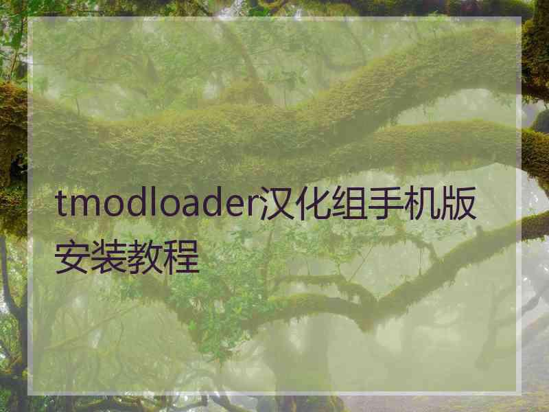 tmodloader汉化组手机版安装教程