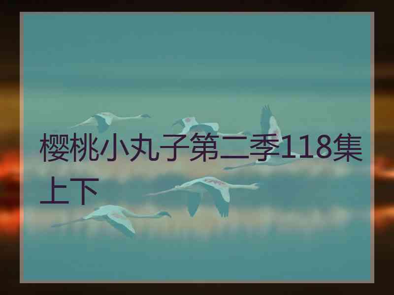 樱桃小丸子第二季118集上下