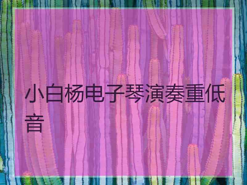 小白杨电子琴演奏重低音