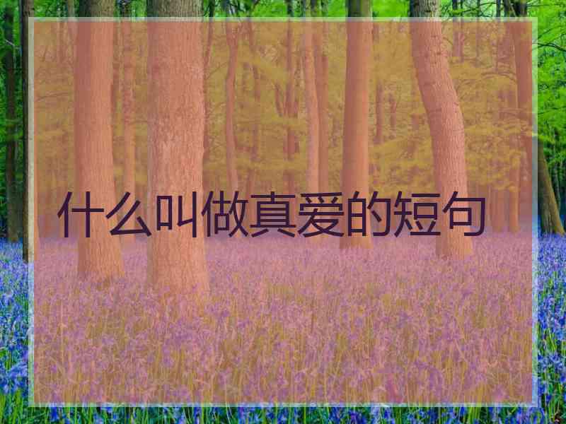 什么叫做真爱的短句