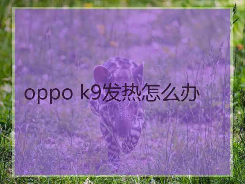 oppo k9发热怎么办