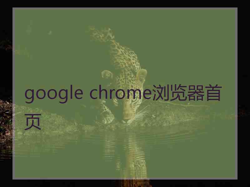 google chrome浏览器首页