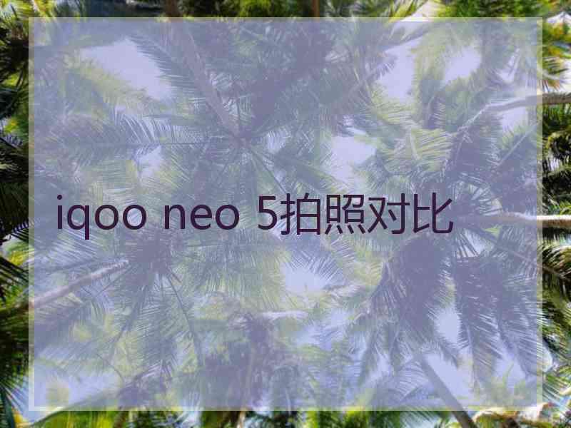 iqoo neo 5拍照对比