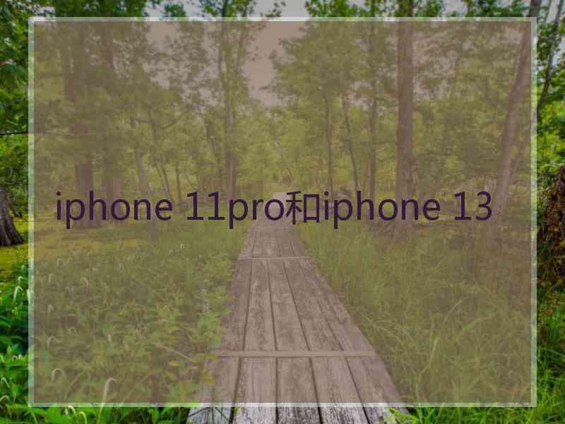 iphone 11pro和iphone 13