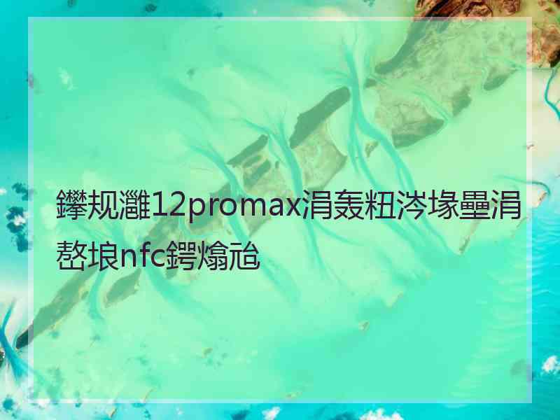 鑻规灉12promax涓轰粈涔堟壘涓嶅埌nfc鍔熻兘