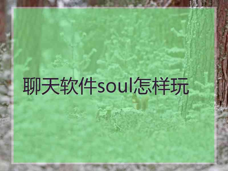 聊天软件soul怎样玩