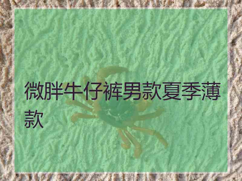 微胖牛仔裤男款夏季薄款