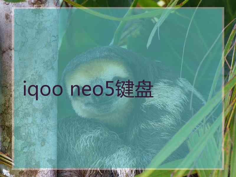 iqoo neo5键盘