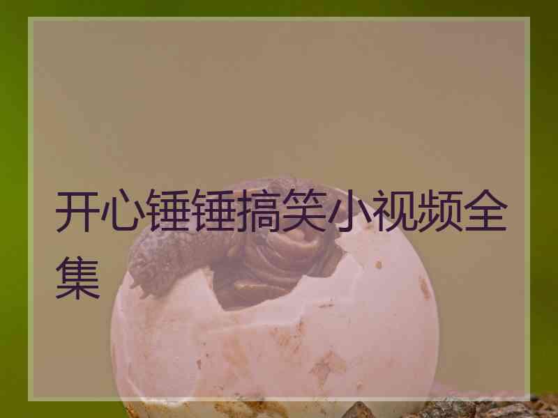 开心锤锤搞笑小视频全集