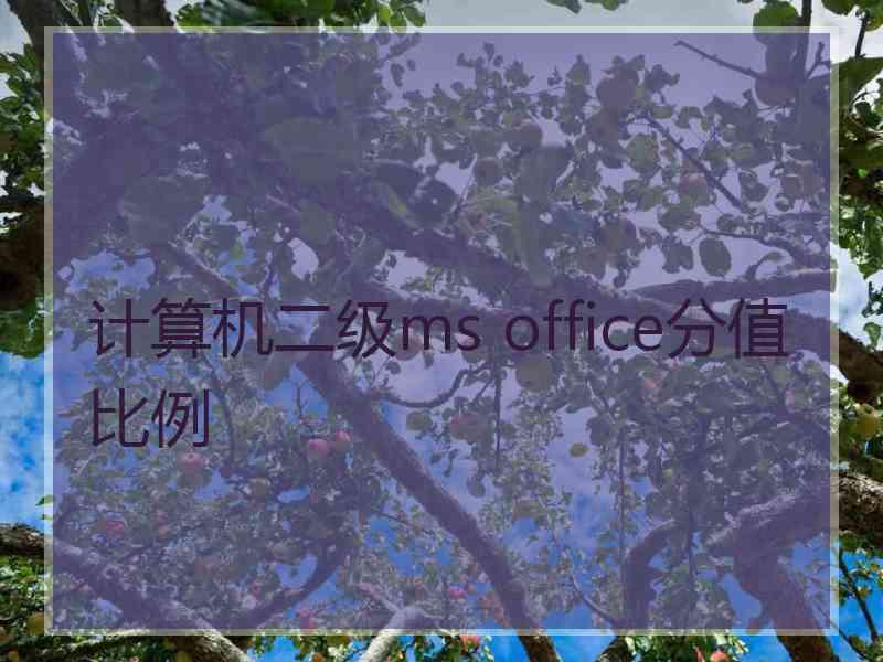 计算机二级ms office分值比例