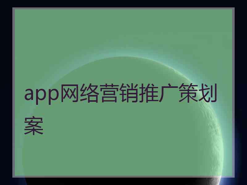 app网络营销推广策划案